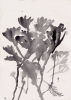 http://www.soerenhiob.com/files/gimgs/th-99_4  14_v2.jpg